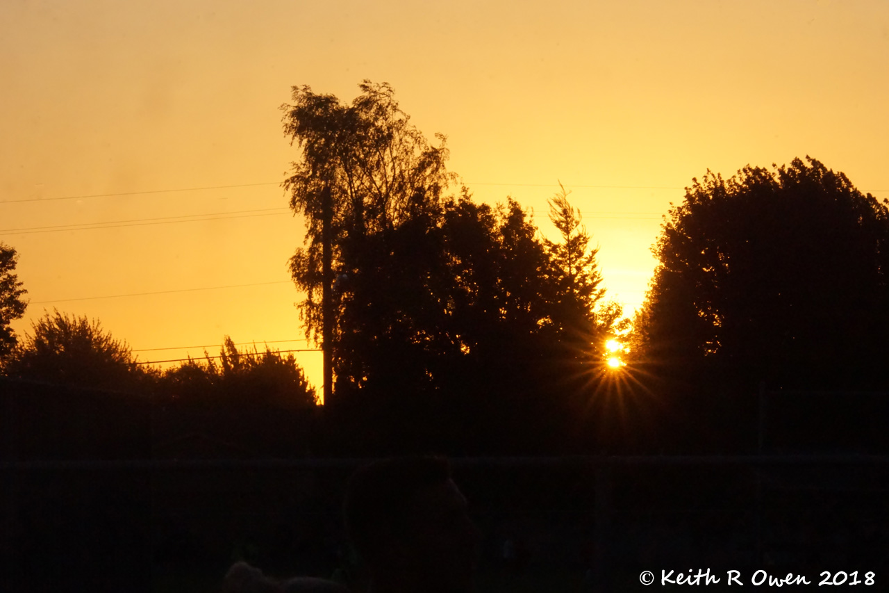 Sunset