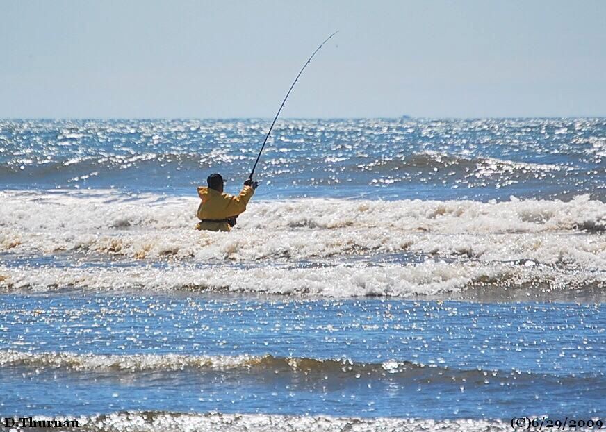 surf fishing
