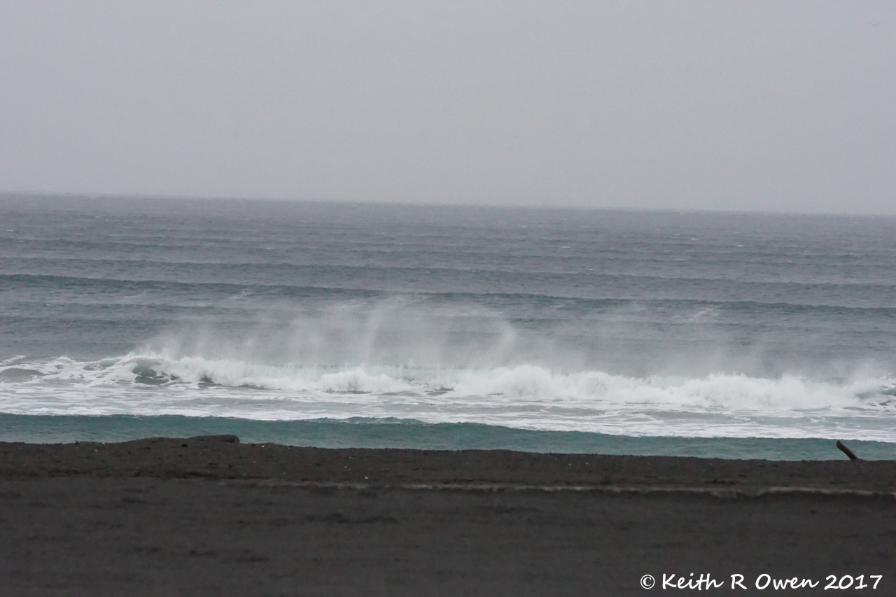 Surf