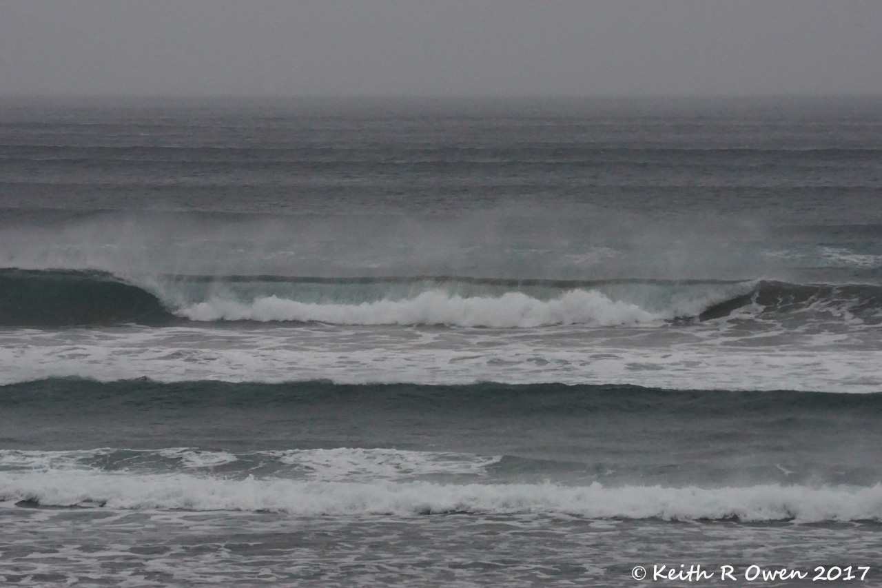 Surf