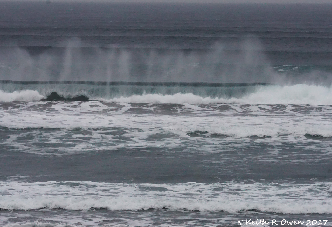 Surf
