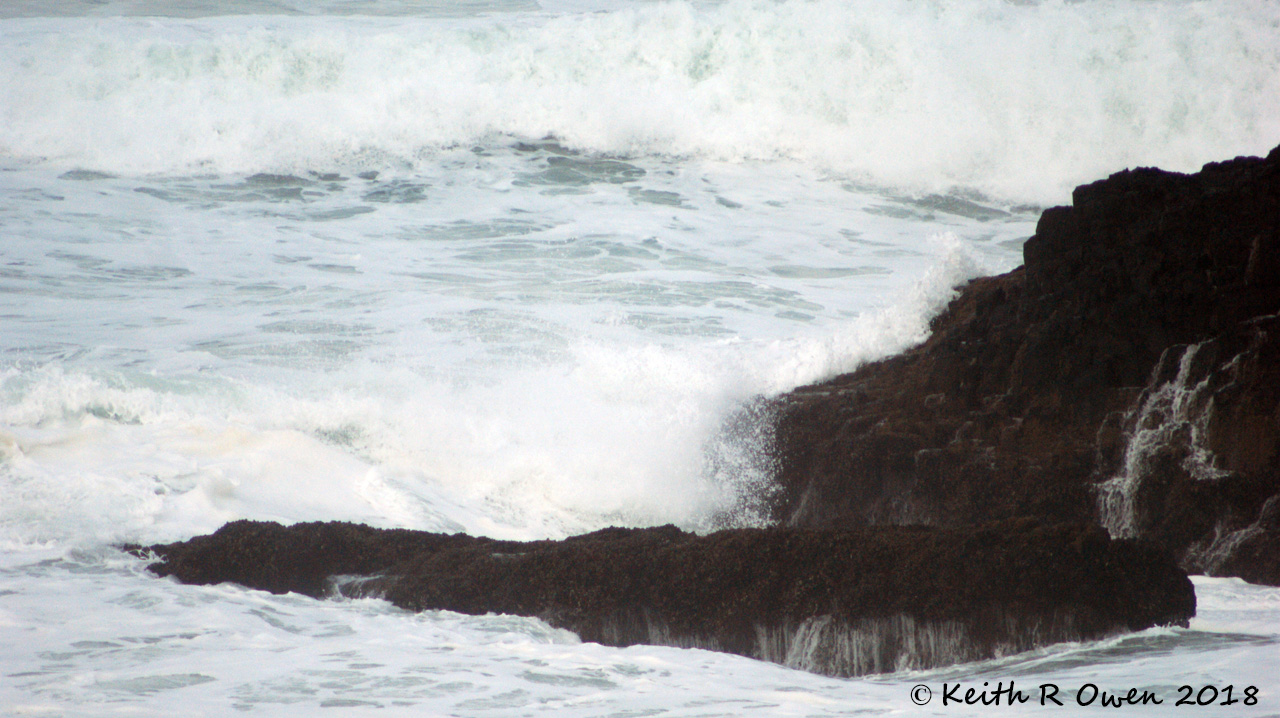 Surf