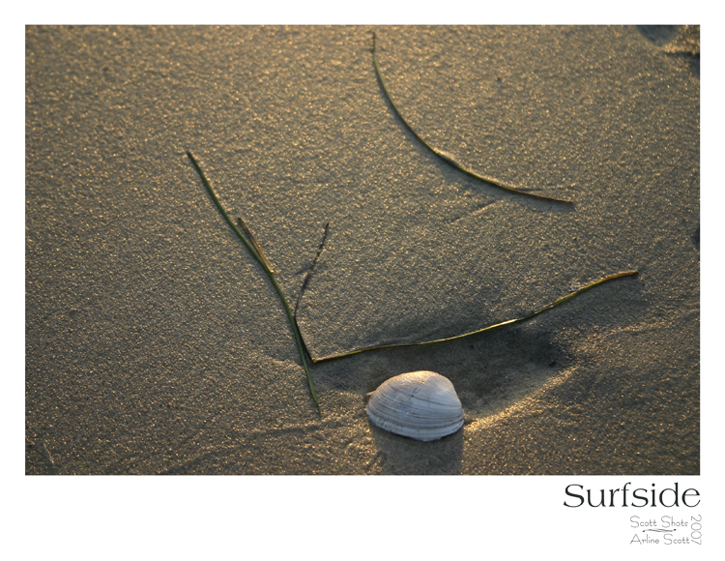 Surfside
