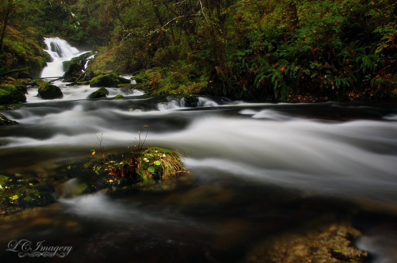 Sweet Creek Falls