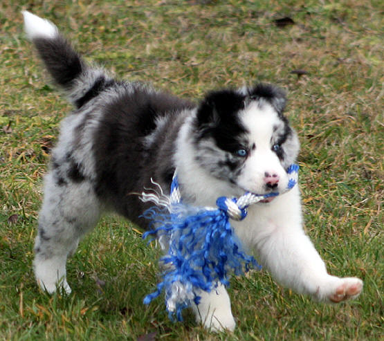 Swirl and her toy