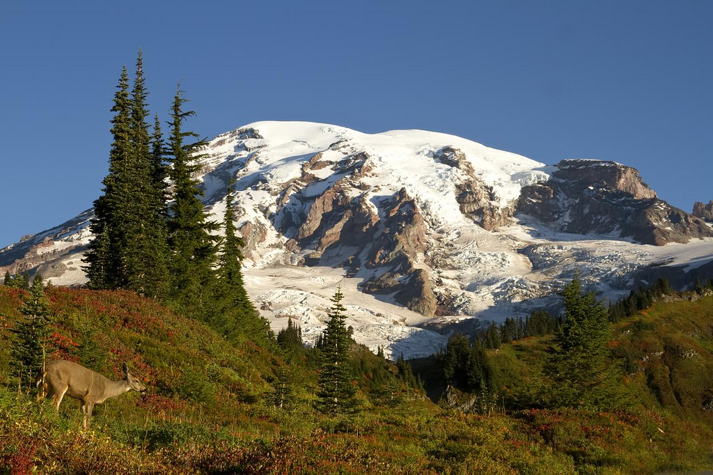 Tahoma Morning from Paridise