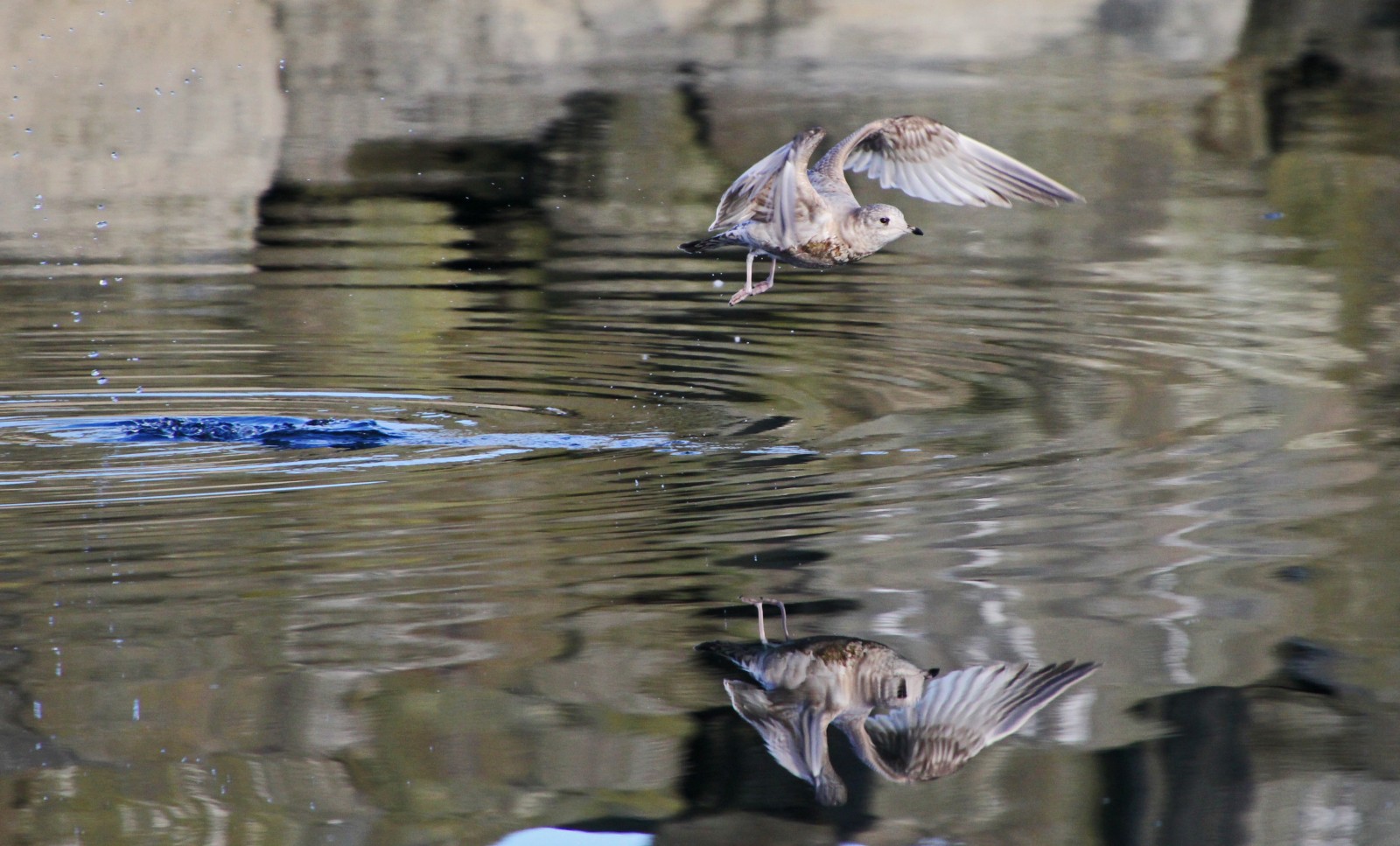 Take-off