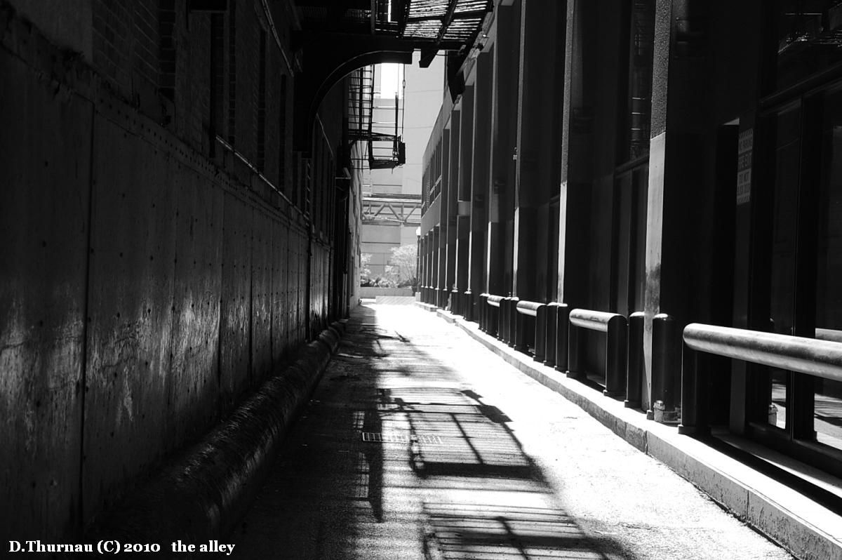 the alley