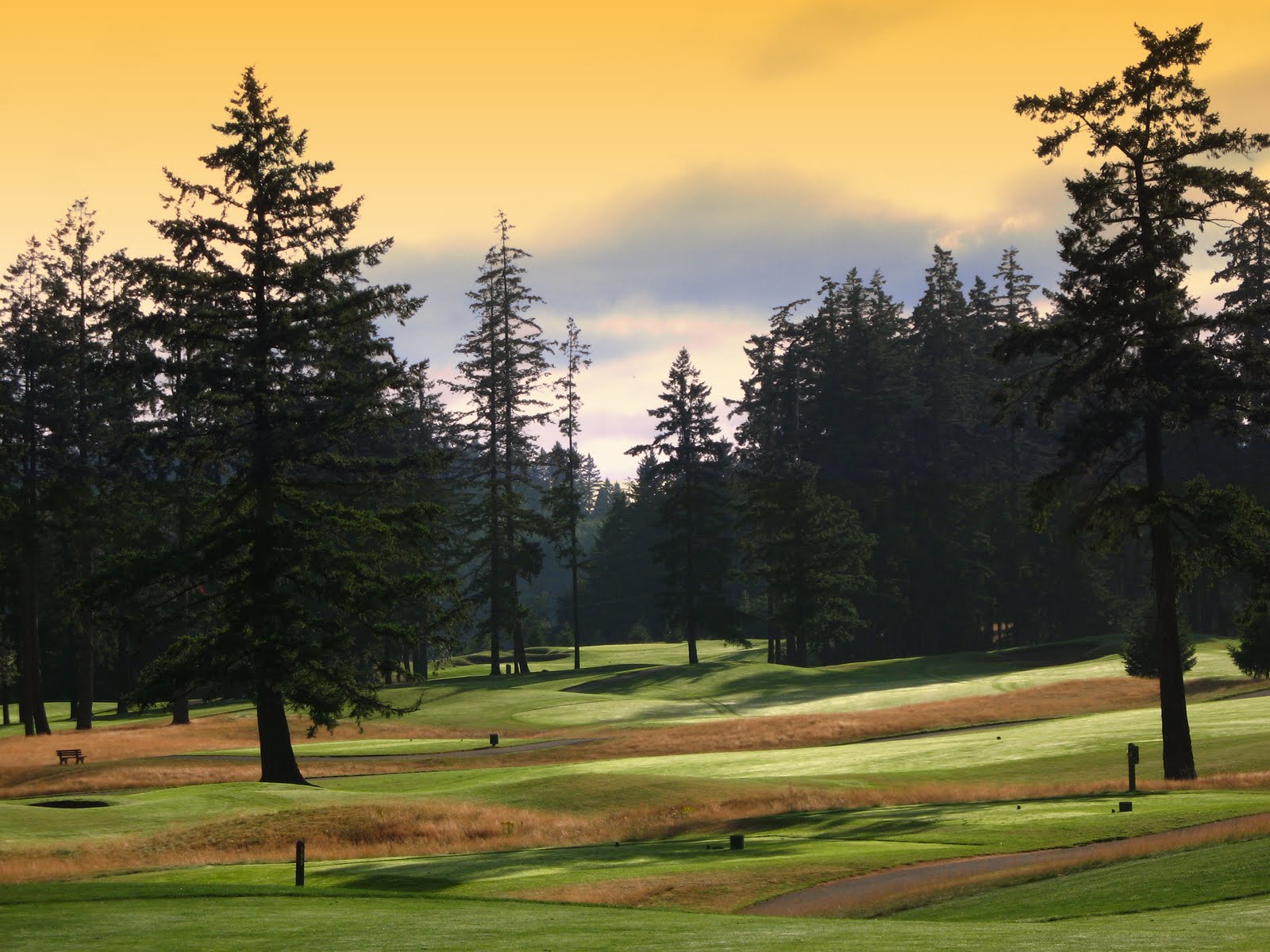 The Back Nine