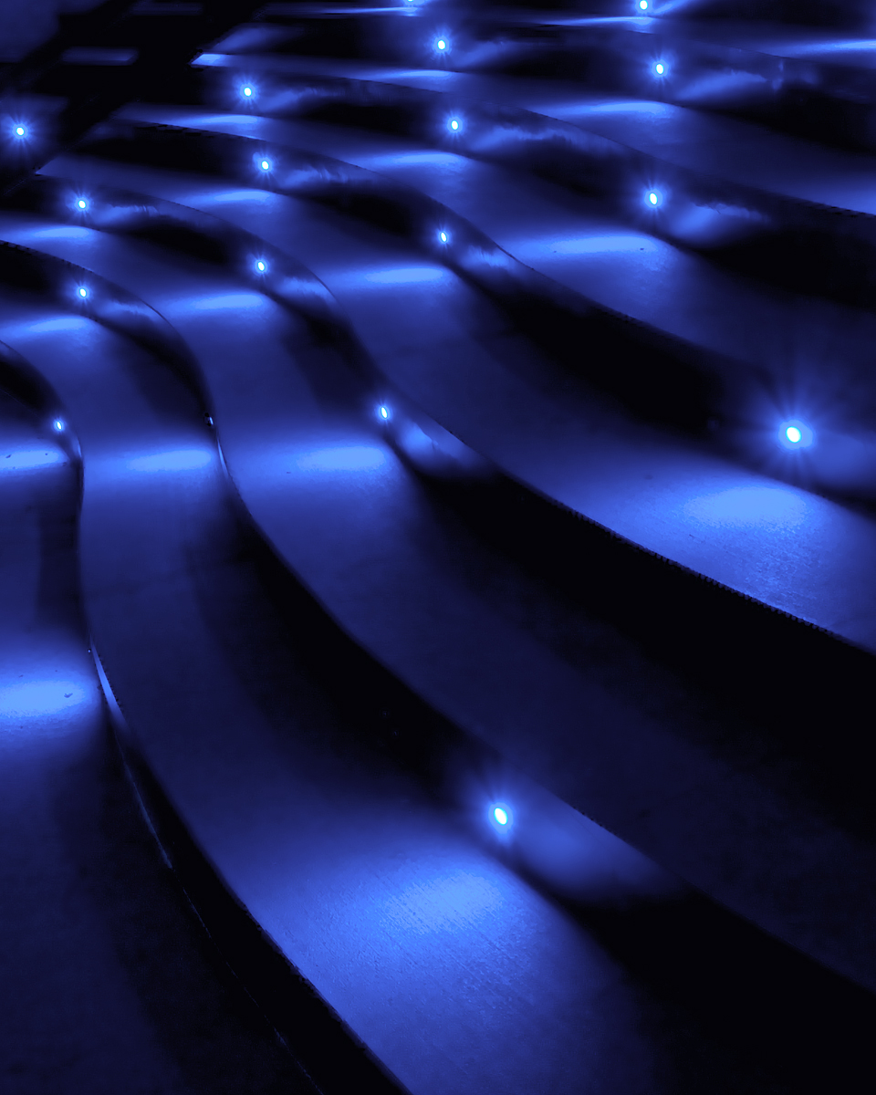 The Blue Carpet
