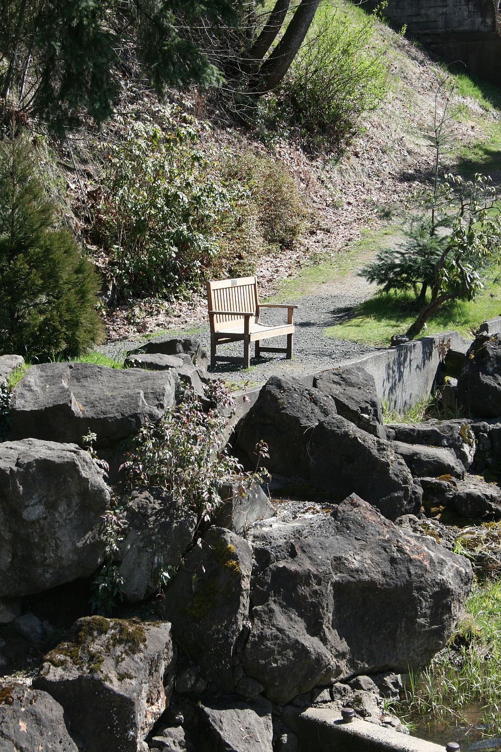 The Empty Bench