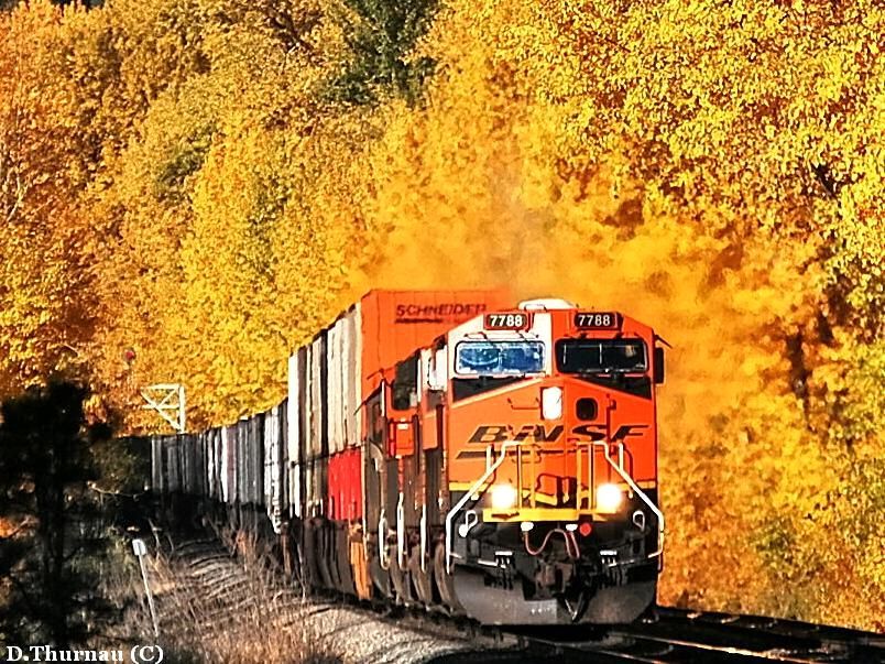 the fall colors