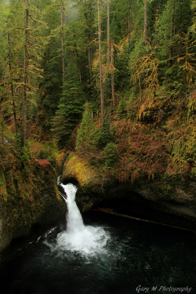 The falls
