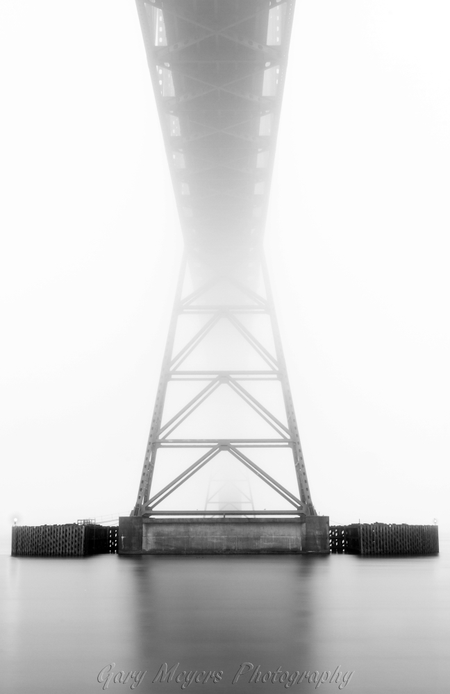 The fog