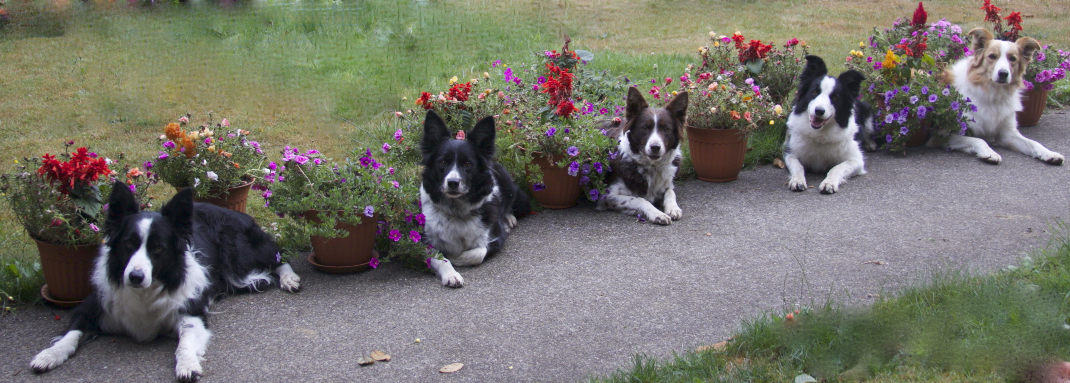 The kids