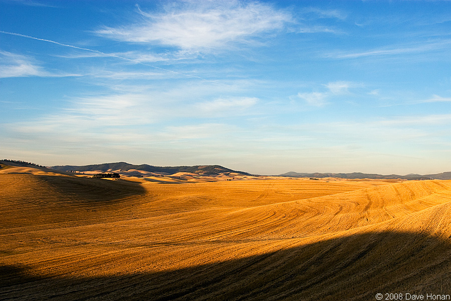 The Palouse at Sunset