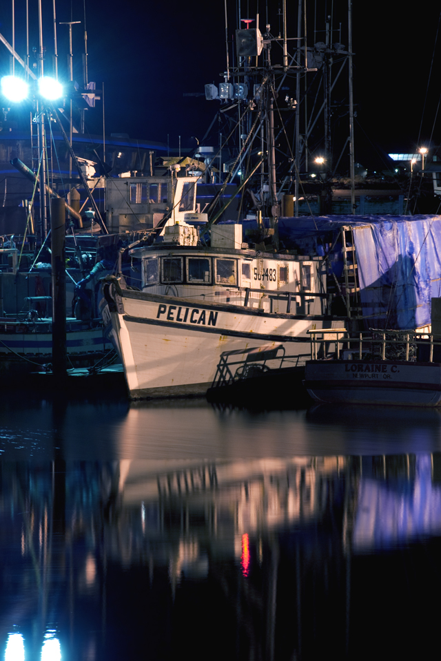 The Pelican