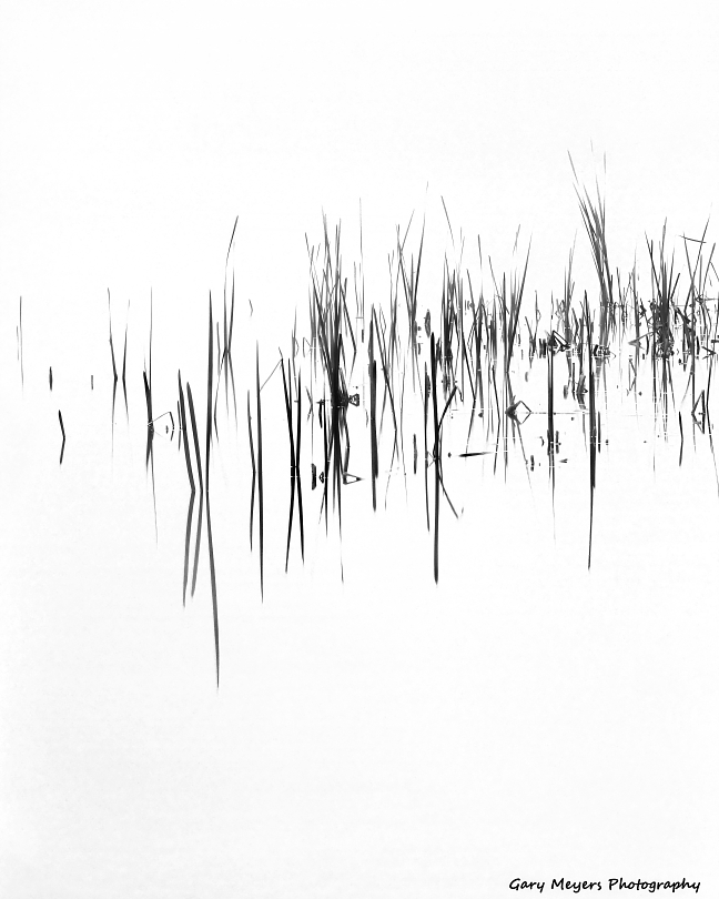 The Romance Of Black and White