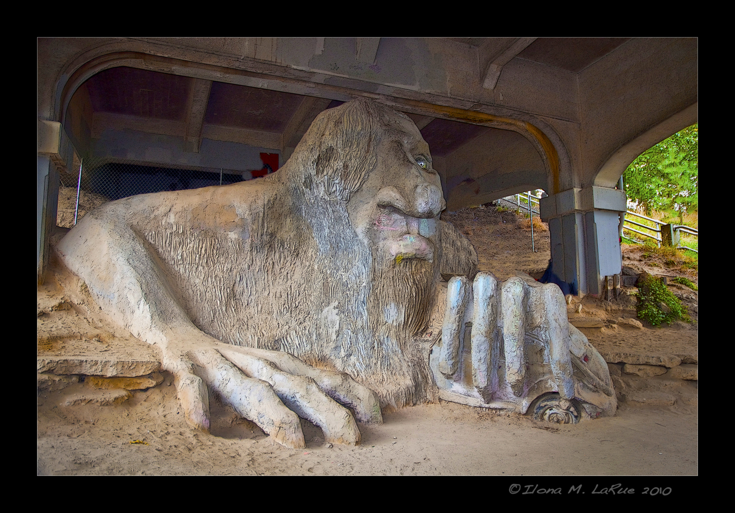 The Seattle Troll