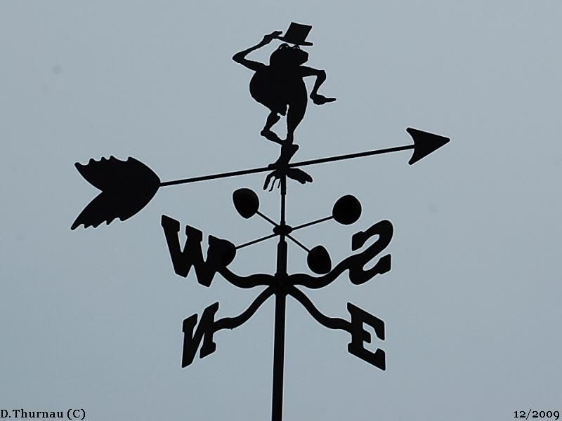 the top hat frog