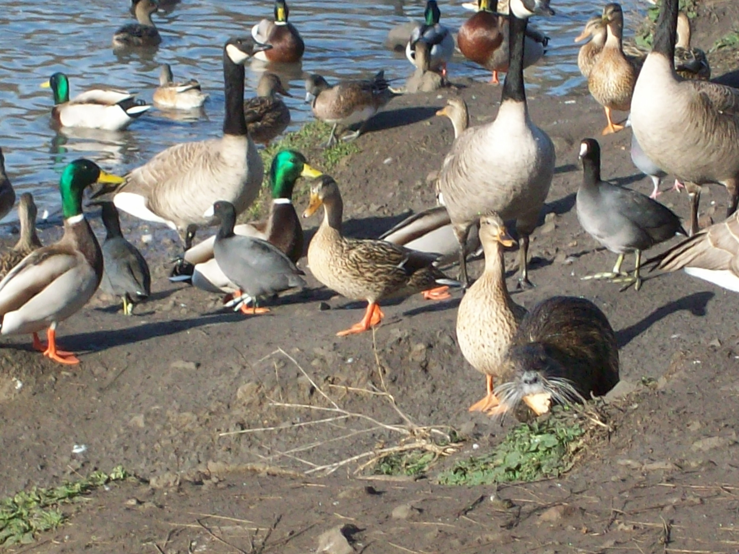 They're all around me