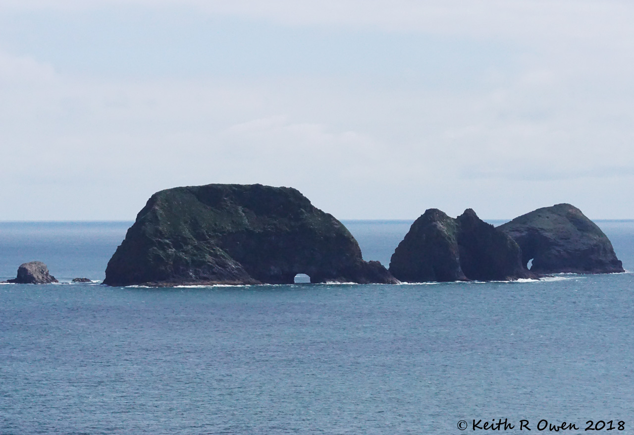 Three Arch Rocks