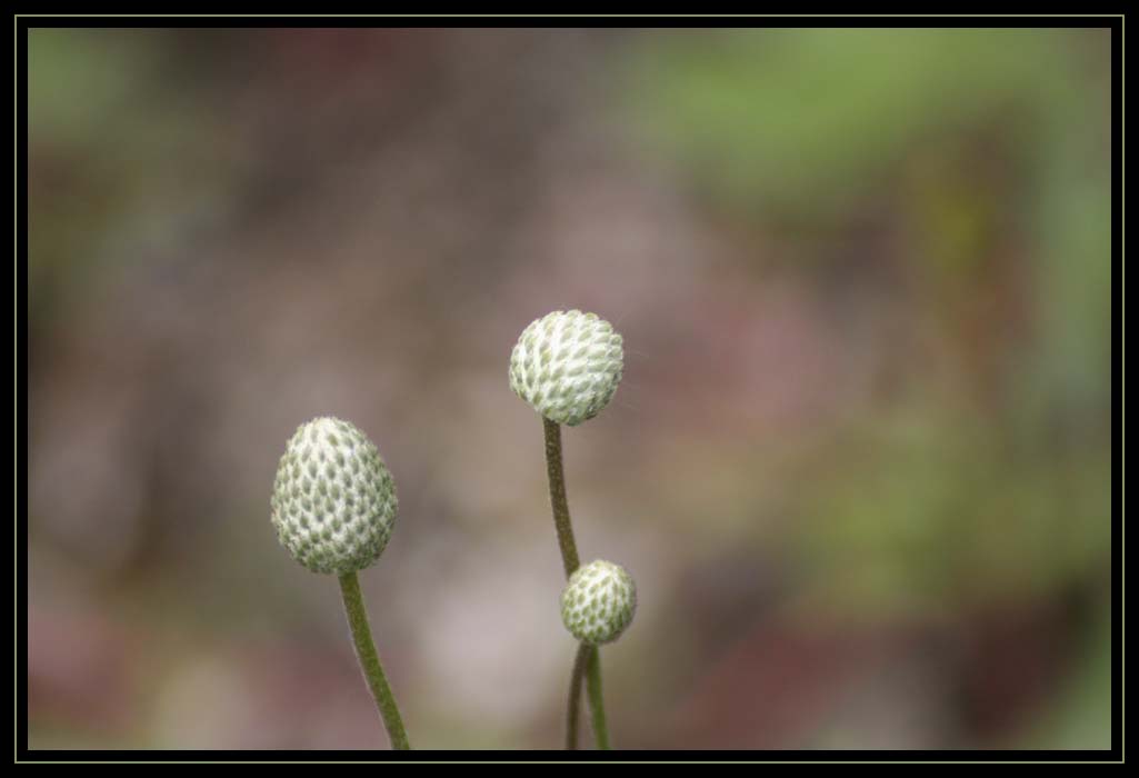 Three Waiting