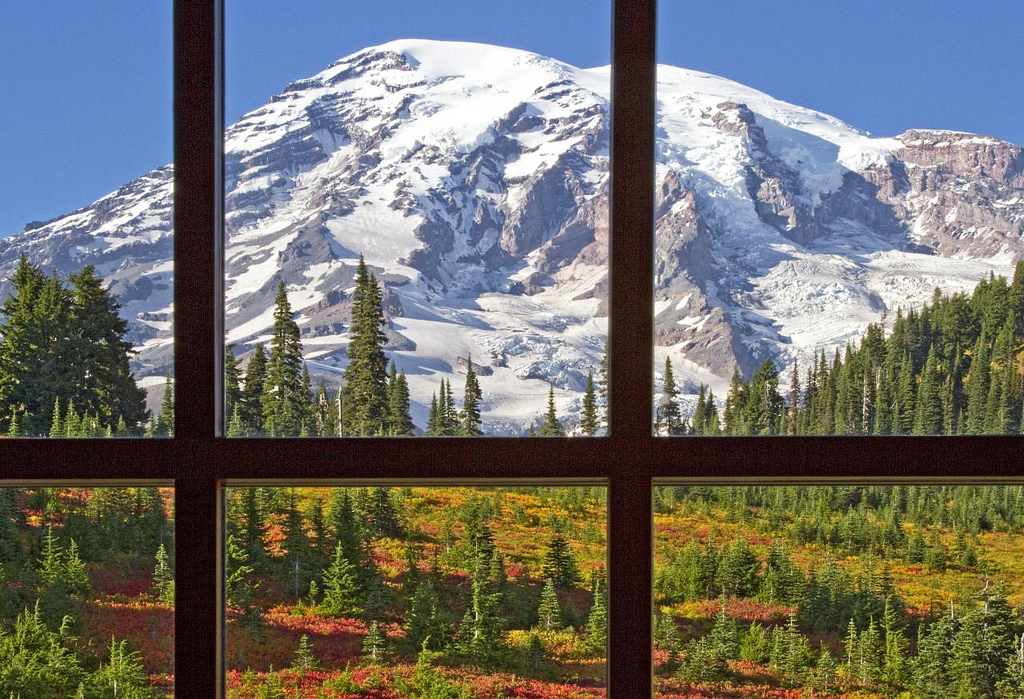 Through the window