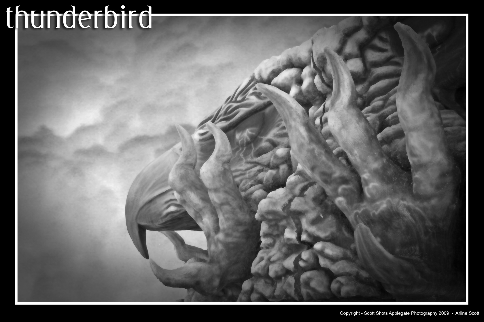 Thunderbird