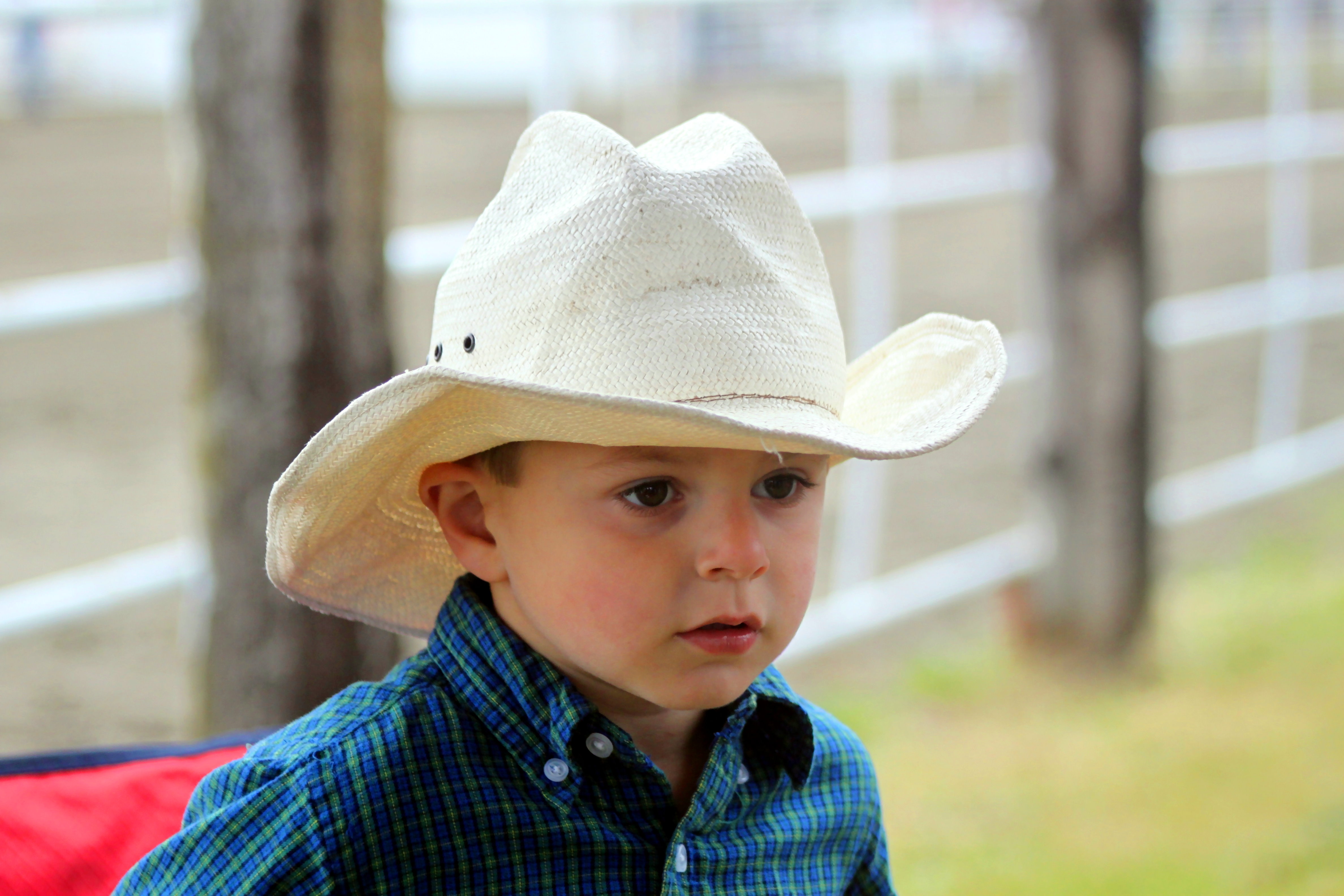 Too young to rodeo