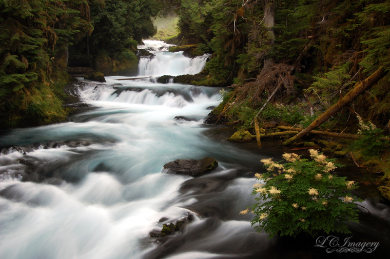 Trail Of Falls