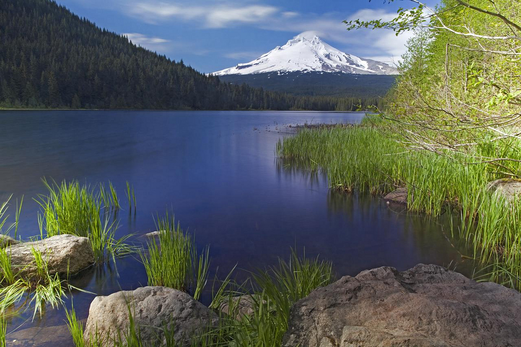 Trillium Lake and Mount Hood - First Day of Summer