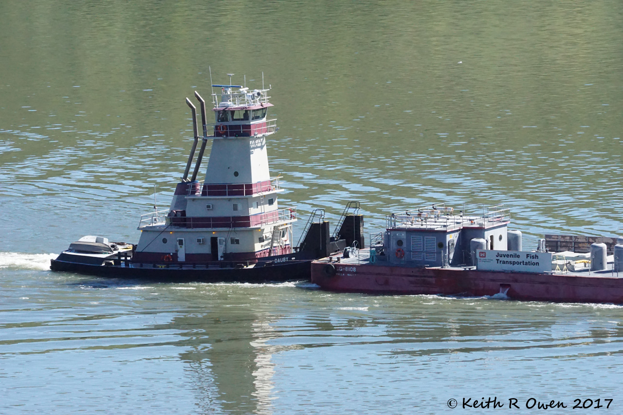 Tug and Fish Barge