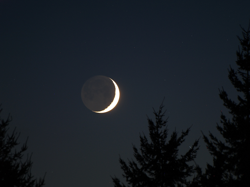 Twilight Blue