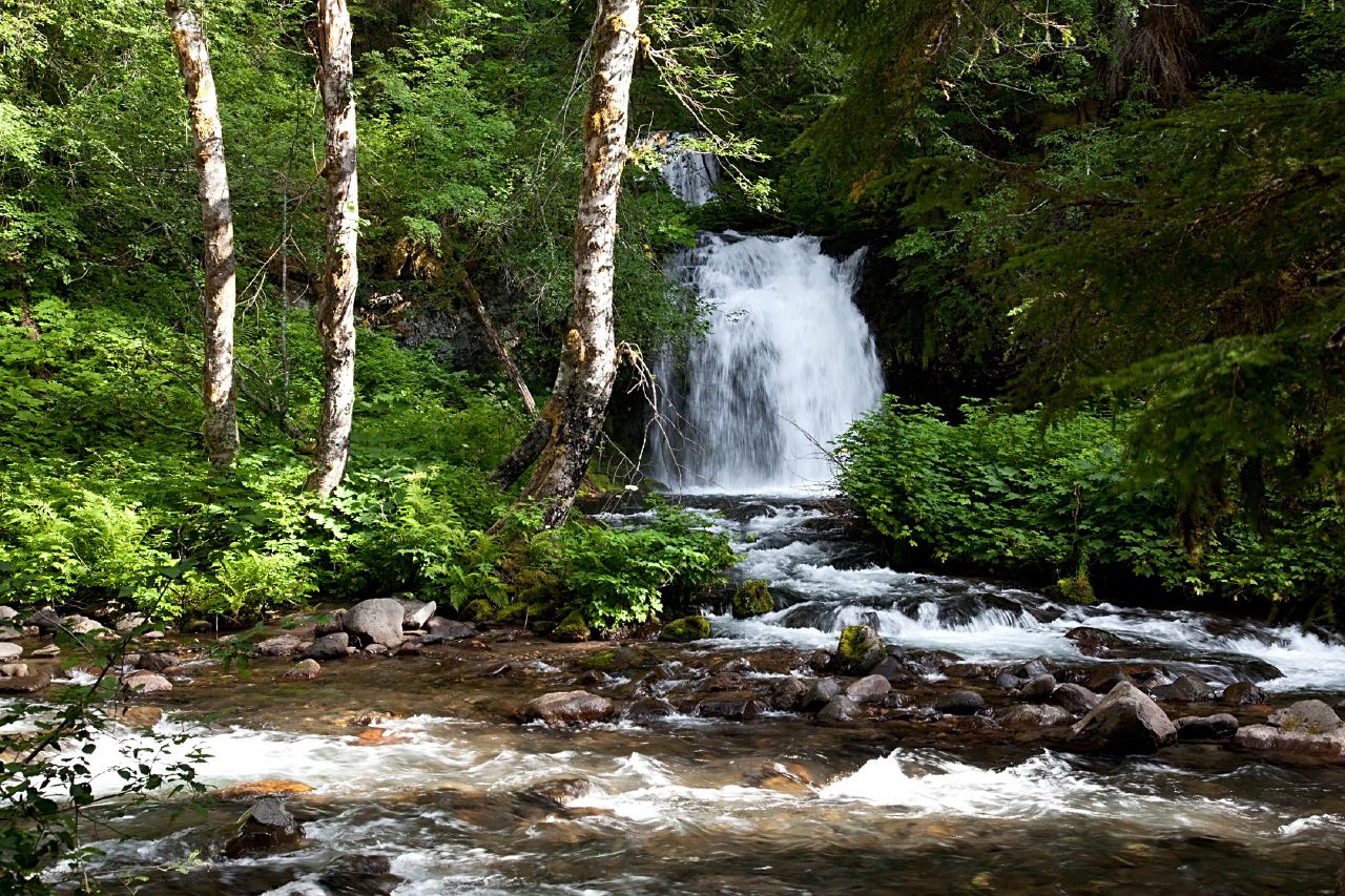 Twin Falls on the Lewis River