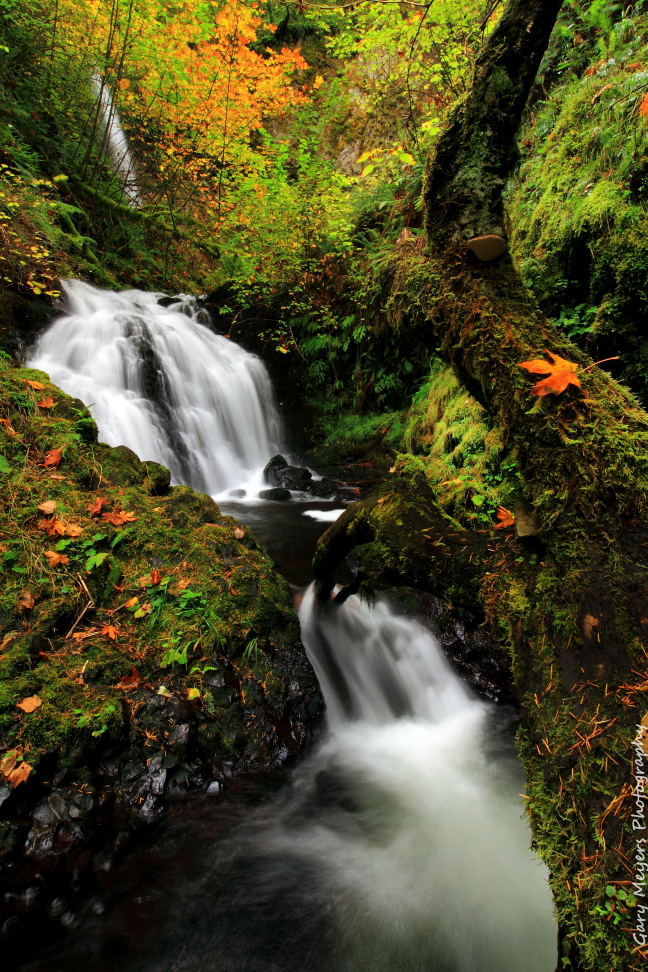 Upper Sheppards Dell