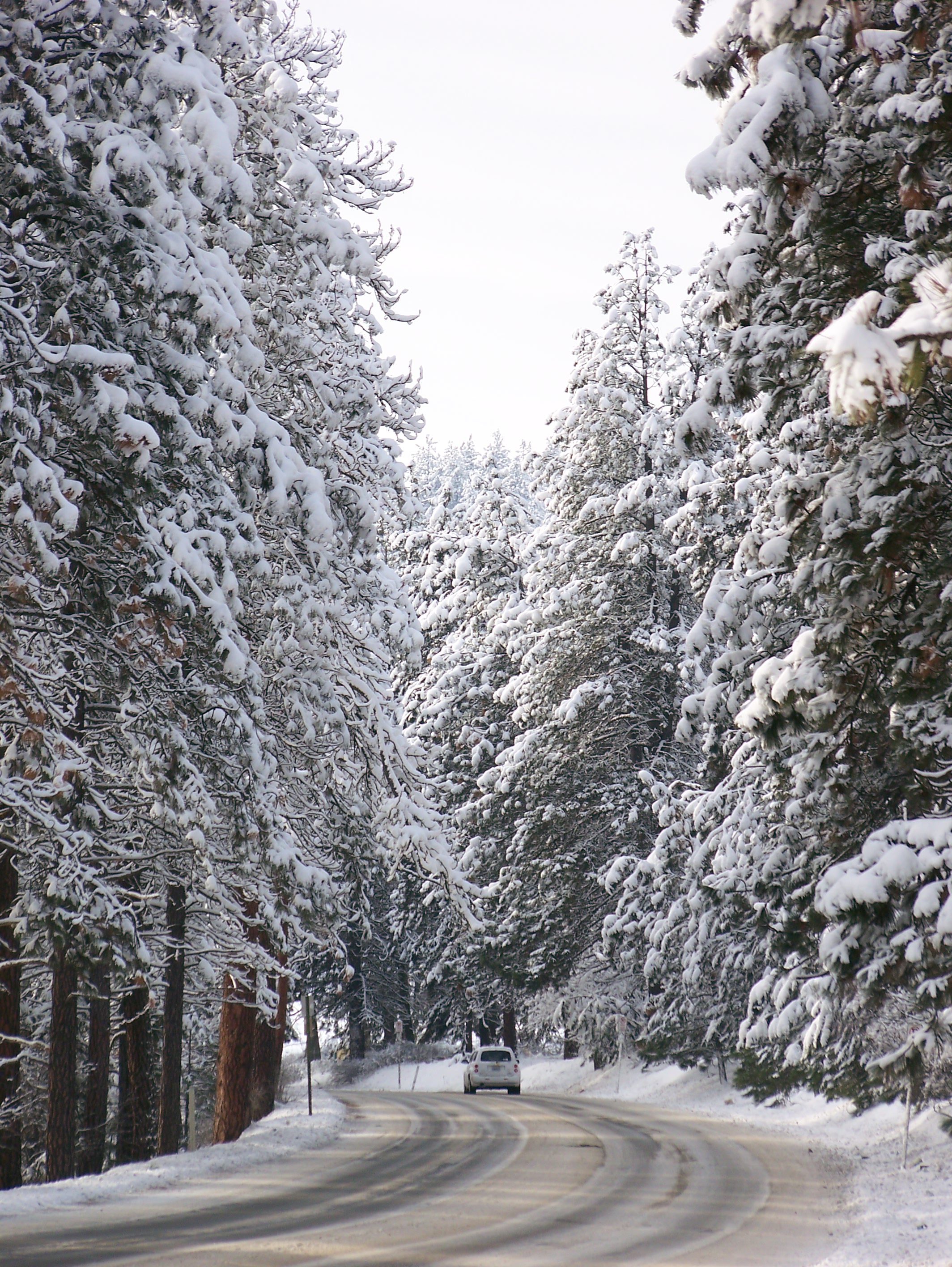 Upriver Drive Spokane Valley