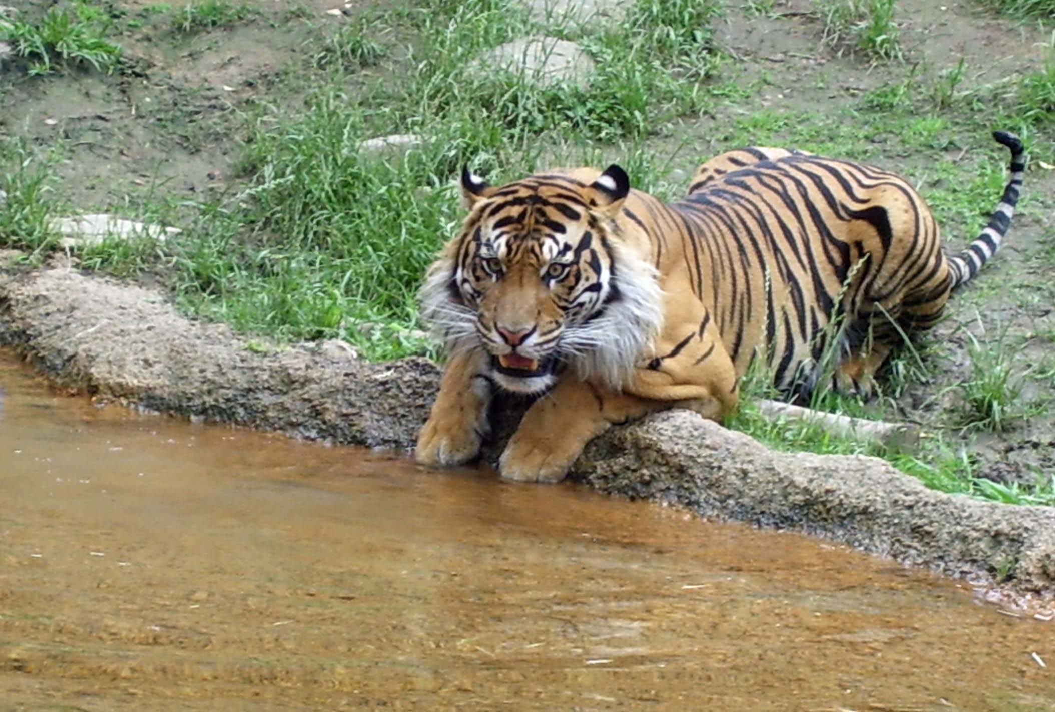 various zoos