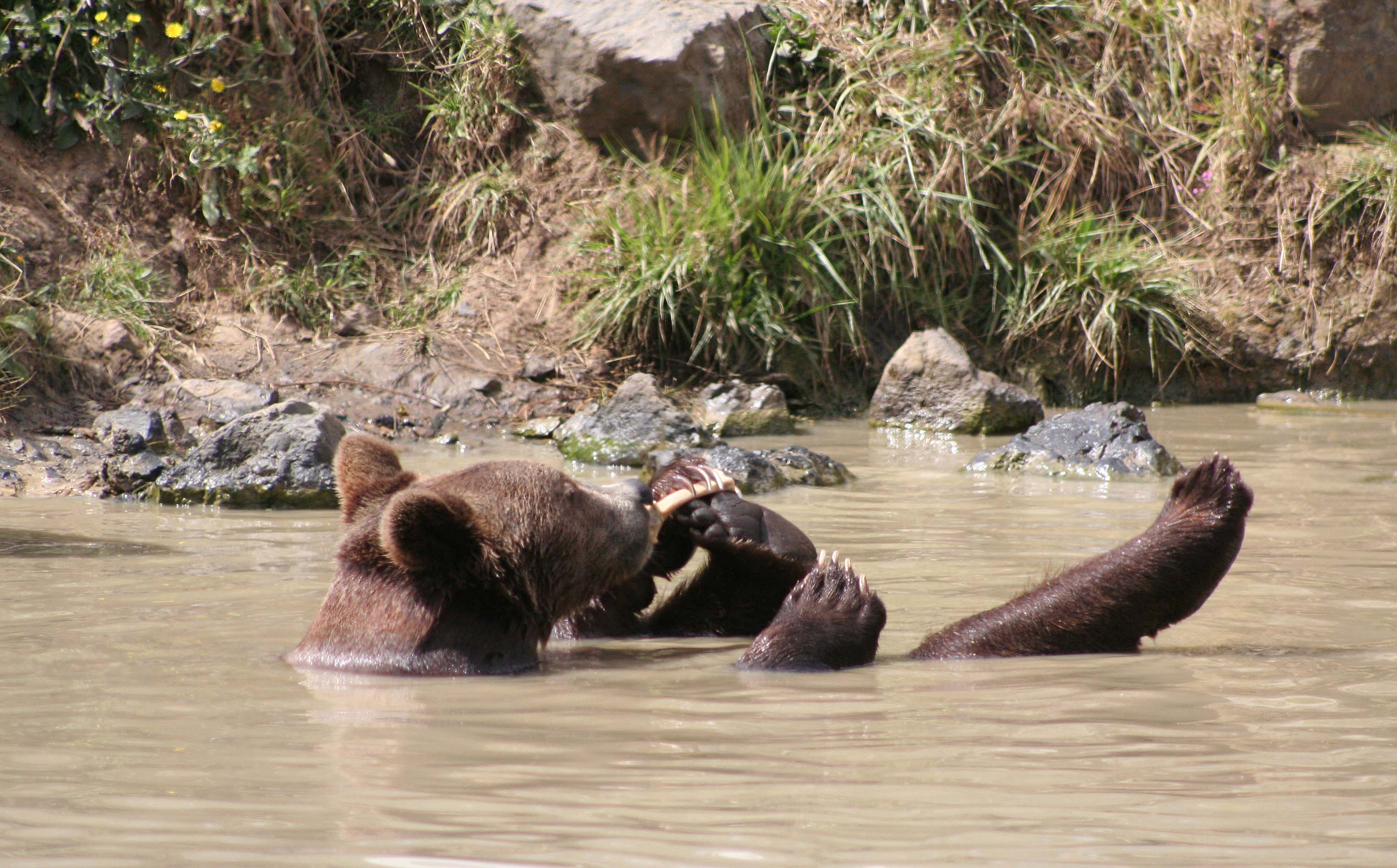 various zoos
