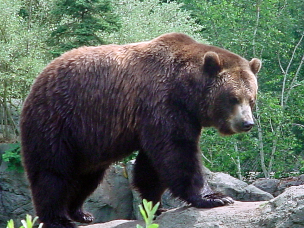 various zoos