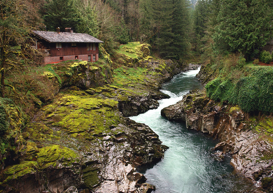 View from the Bridge: Natural Processing
