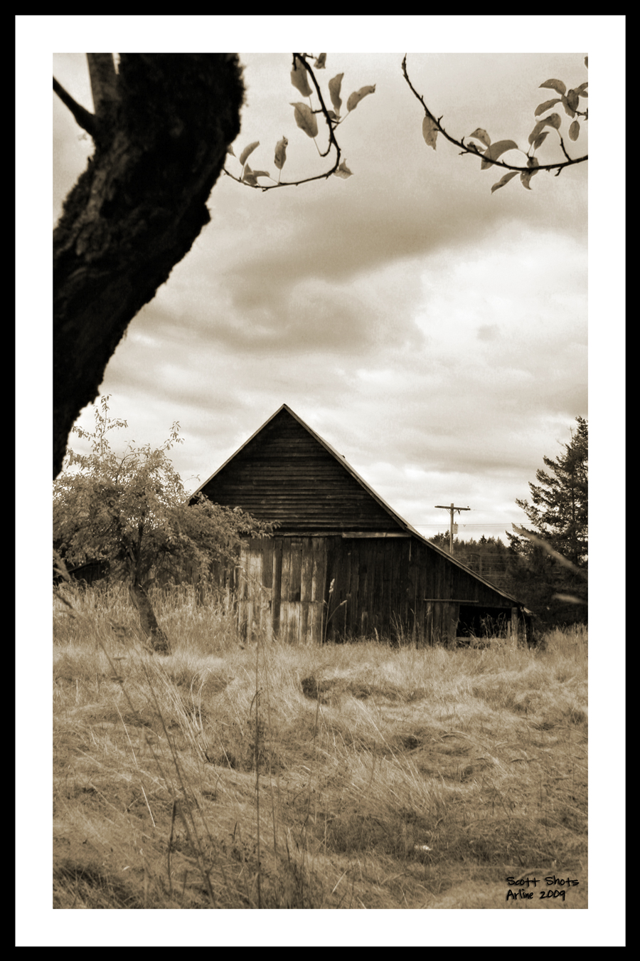 Vintage Barn