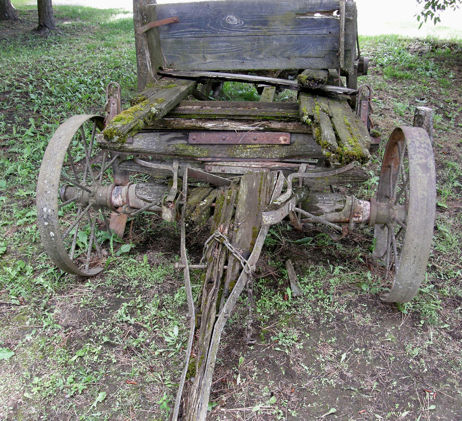 Wagon Front