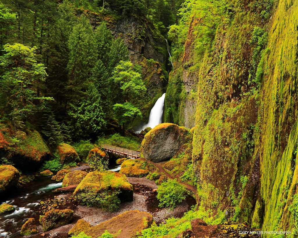 Wahclella Falls The best seat in the house!