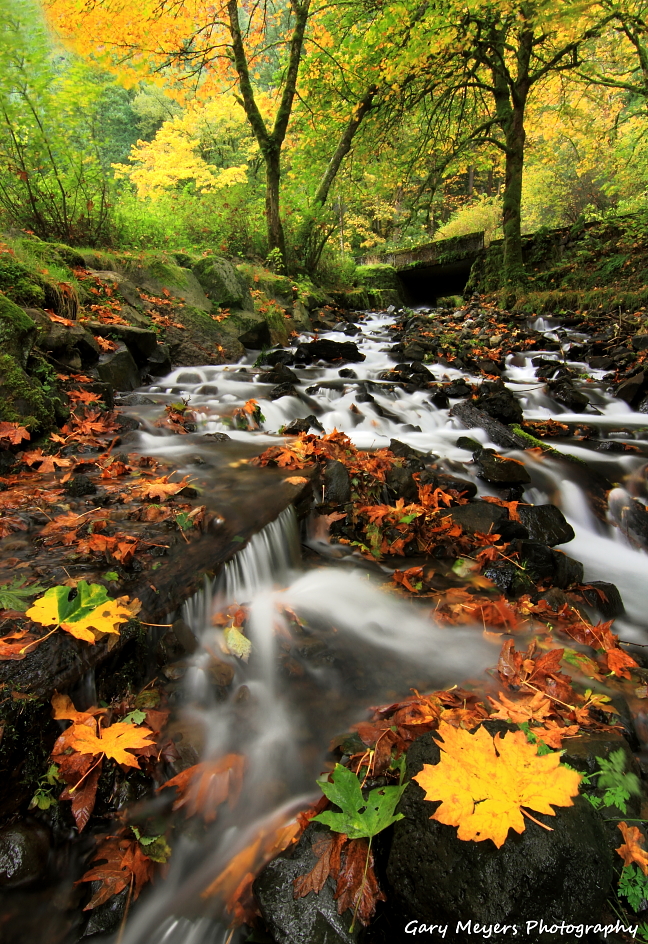 Wahkeena Creek