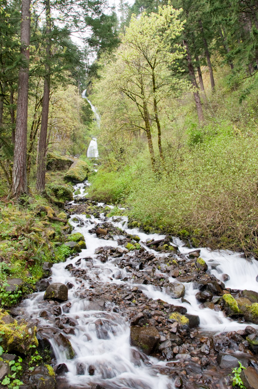 Wahkeena Falls