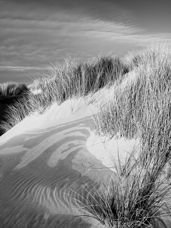 Waldport Dunes B&W