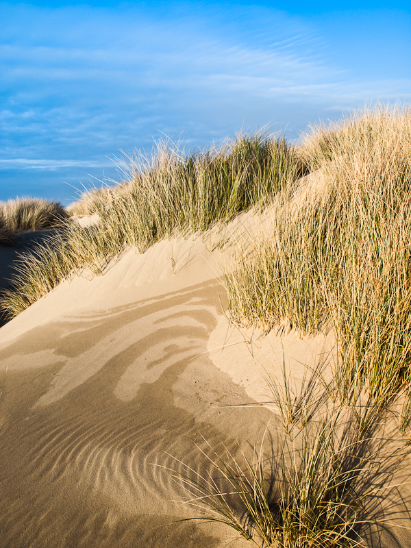Waldport Dunes