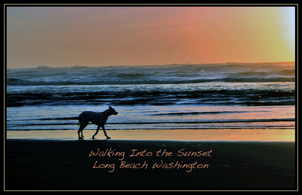 Walking Into The Sunset