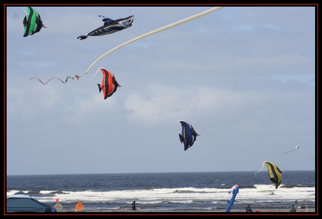 Washington State International Kite Festival 2010